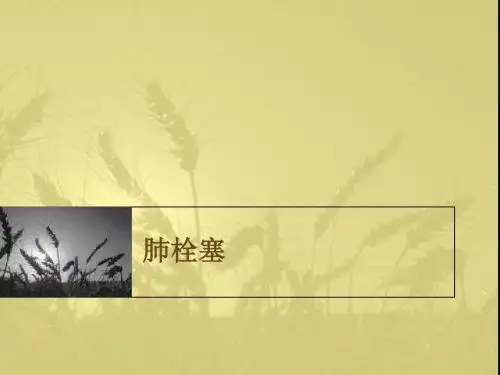 肺栓塞