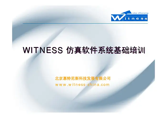 witness仿真软件培训教程