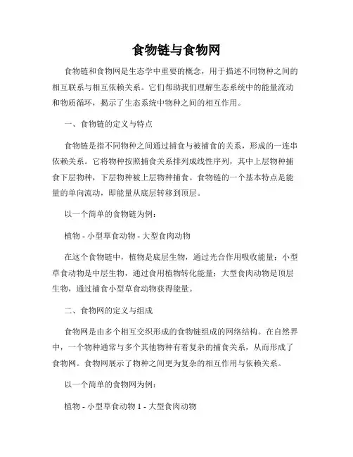 食物链与食物网