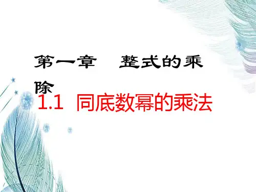整式的乘除优质课件