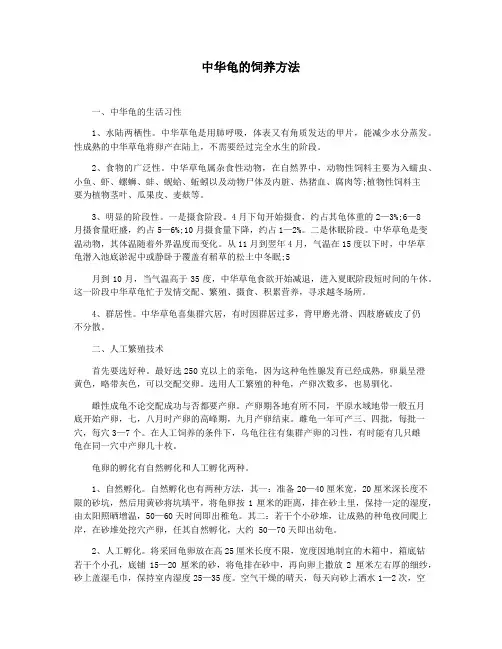 中华龟的饲养方法