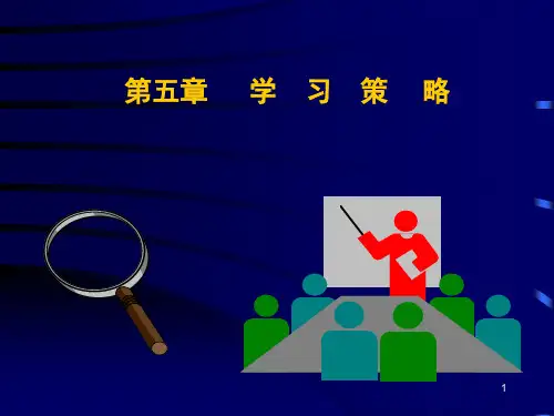 第五章 学习策略