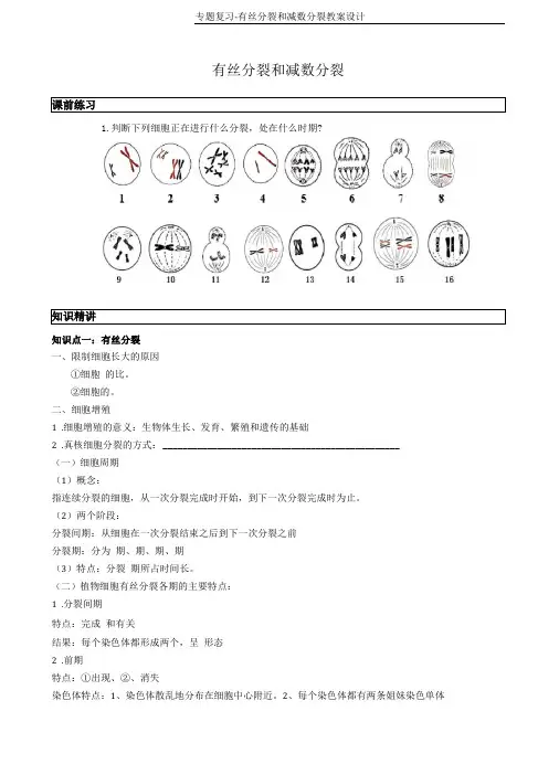 专题复习-有丝分裂和减数分裂教案设计