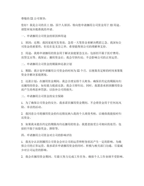 挪用公司资金罪申请书模板