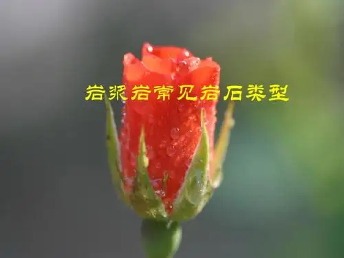 岩浆岩总复习
