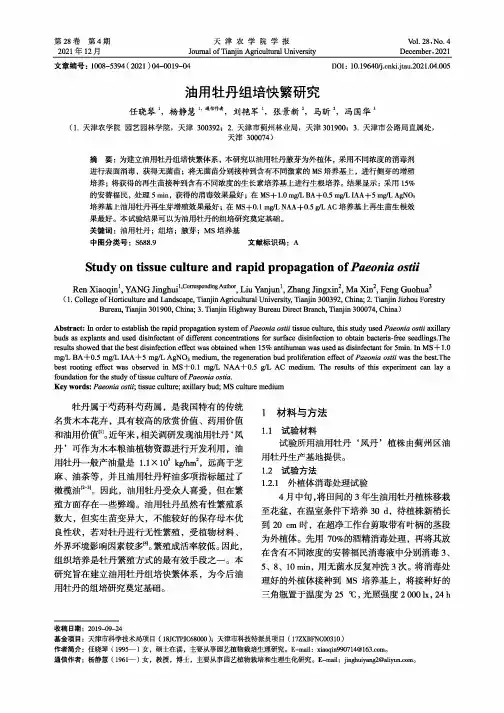 油用牡丹组培快繁研究