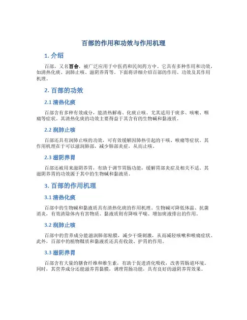 百部的作用和功效与作用机理
