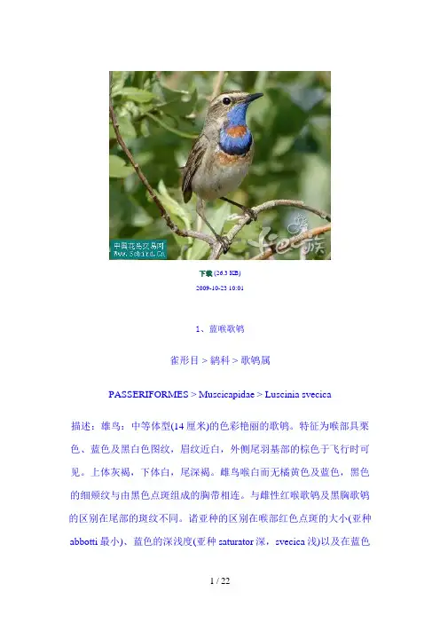 鸟类图谱大全