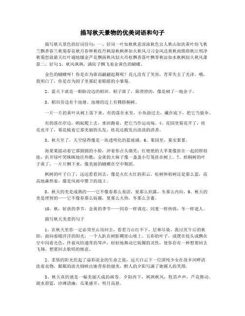 描写秋天景物的优美词语和句子