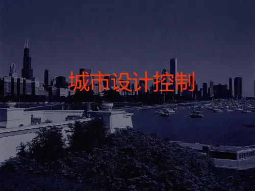 城市设计导则引导控制PPT课件