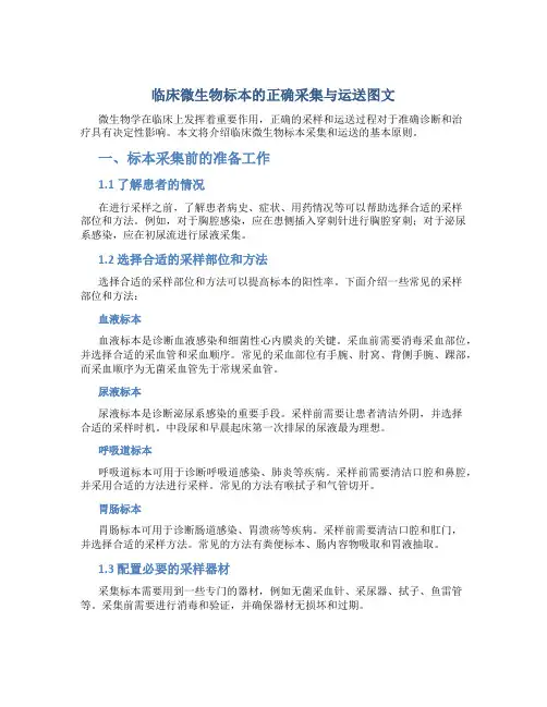 临床微生物标本的正确采集与运送图文