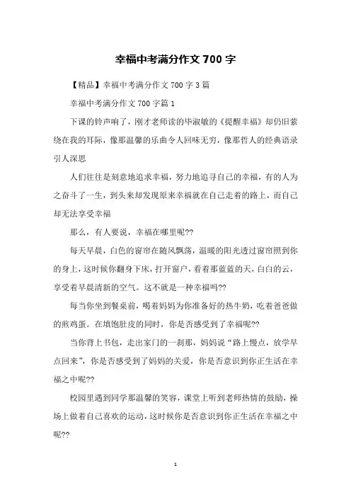 幸福中考满分作文700字