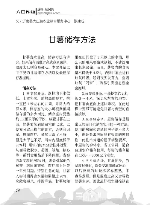 甘薯储存方法