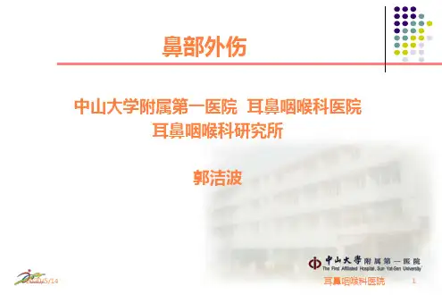 鼻外伤中山大学附属第一医院ppt课件