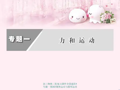 高三物理二轮复习课件全国通用1专题一第3讲抛体运动与圆周运动