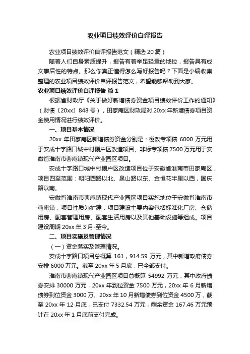 农业项目绩效评价自评报告范文（精选20篇）