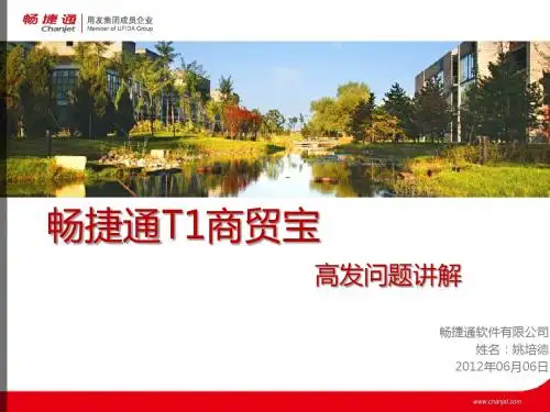 T1商贸宝高发问题总结