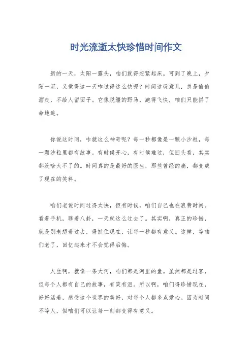 时光流逝太快珍惜时间作文