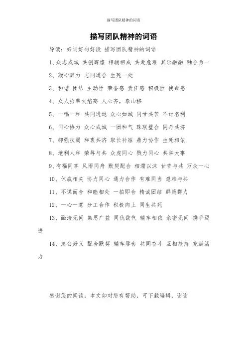 描写团队精神的词语