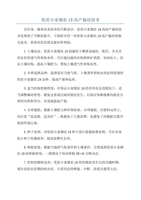 优质小麦烟农19高产栽培技术