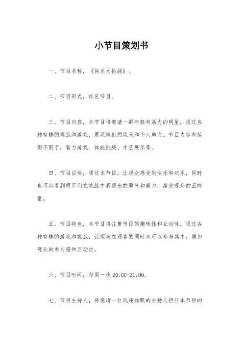 小节目策划书