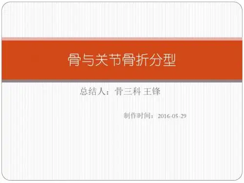 骨与关节骨折分型 ppt课件