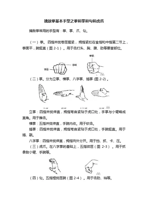 擒敌拳基本手型之拳和掌和勾和虎爪