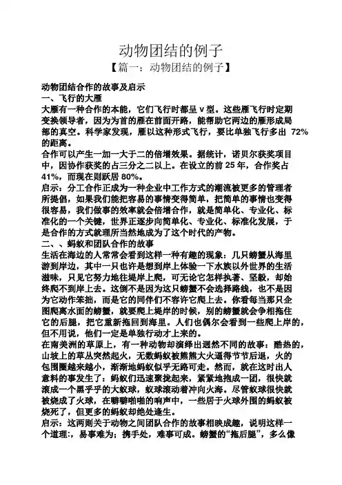 动物团结的例子