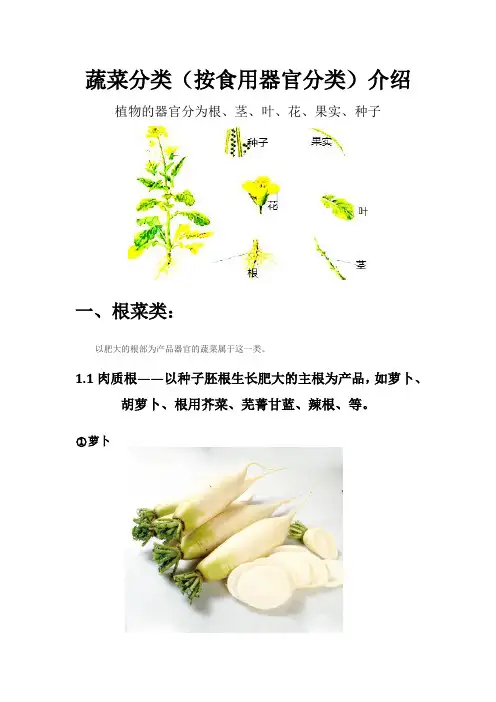 蔬菜分类