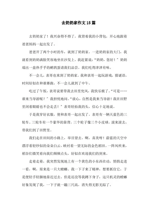 去奶奶家作文精选