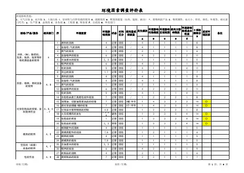 环境因素调查评价表 模板