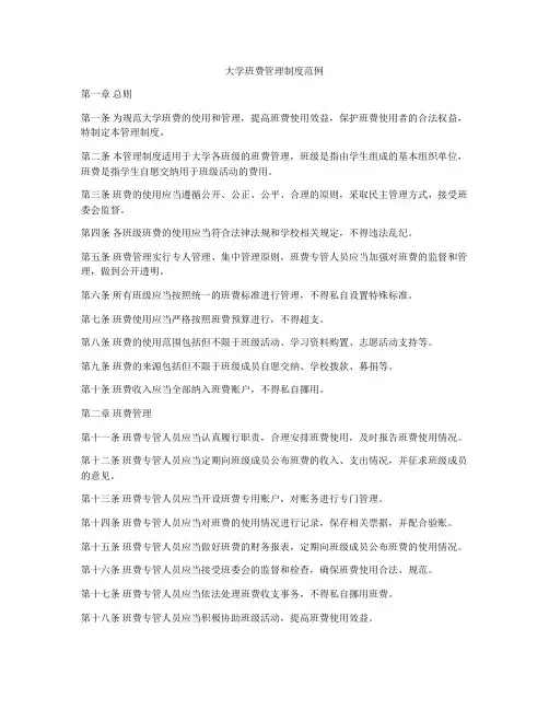 大学班费管理制度范例