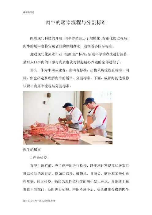 肉牛的屠宰流程与分割标准