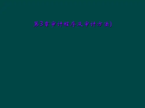 第3章审计程序及审计方法)