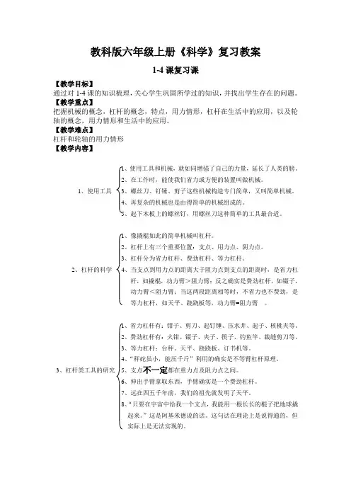 教科版六年级上册《科学》复习教案