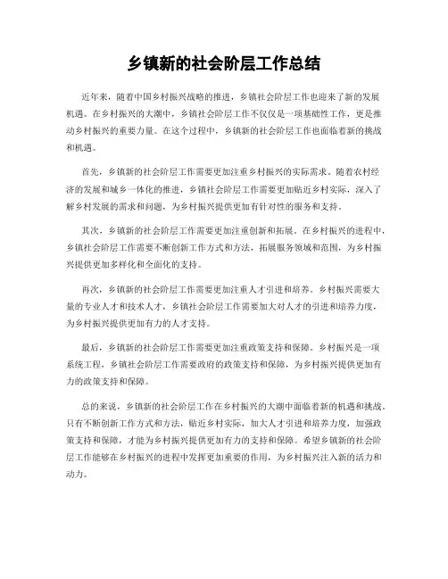 乡镇新的社会阶层工作总结