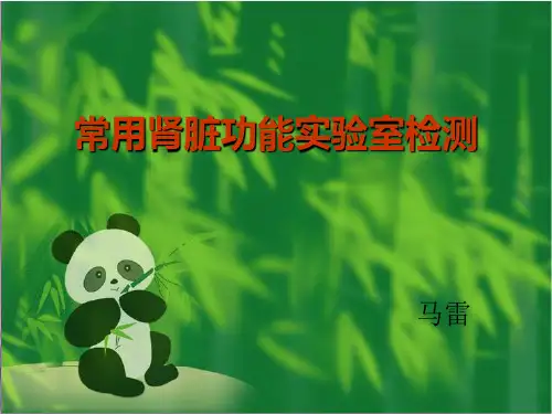 肾脏功能实验室检测