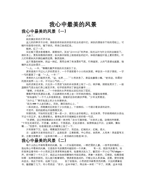 我心中最美的风景作文共九篇