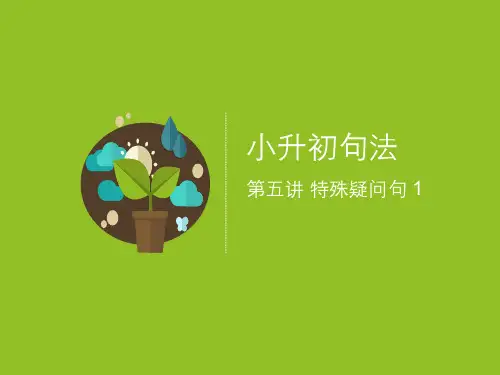 初一英语句法5 特殊疑问句