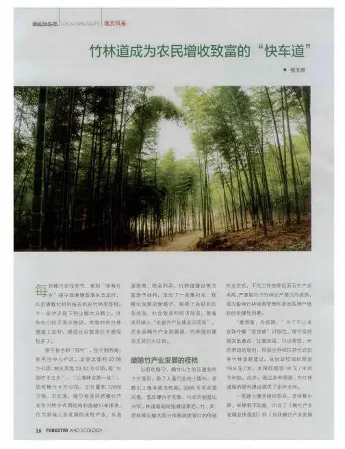 竹林道成为农民增收致富的“快车道”