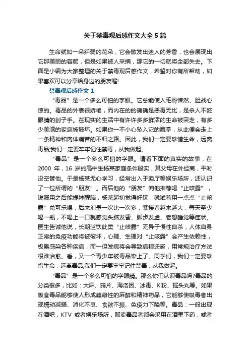 关于禁毒观后感作文大全5篇