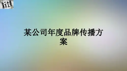 某公司年度品牌传播方案