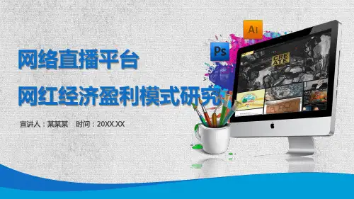 网红 分析报告 ppt