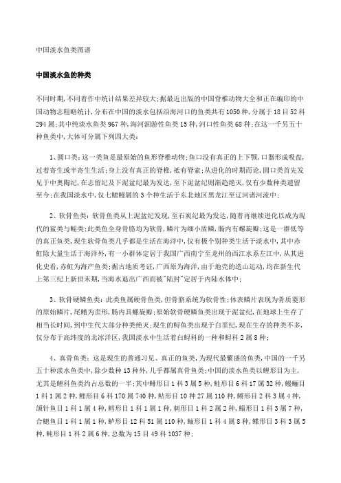 淡水鱼类图谱