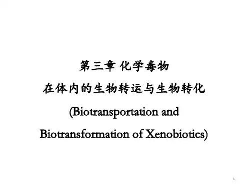 第3章 化学毒物在体内的生物转运与生物转化 ppt课件