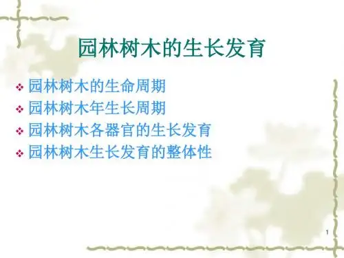 树木生长发育规律ppt课件