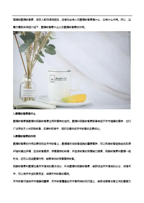 氨糖软骨素是什么,有什么作用