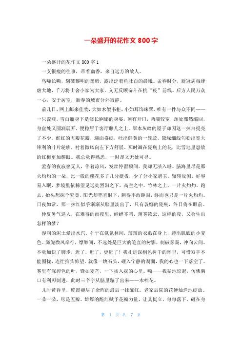 一朵盛开的花作文800字