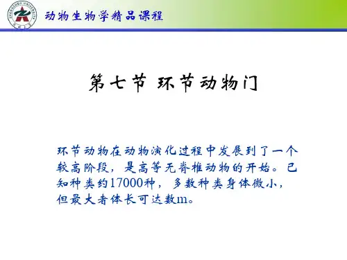第七节 环节动物门讲解