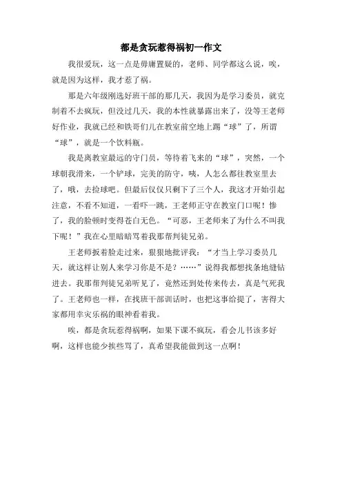 都是贪玩惹得祸初一作文